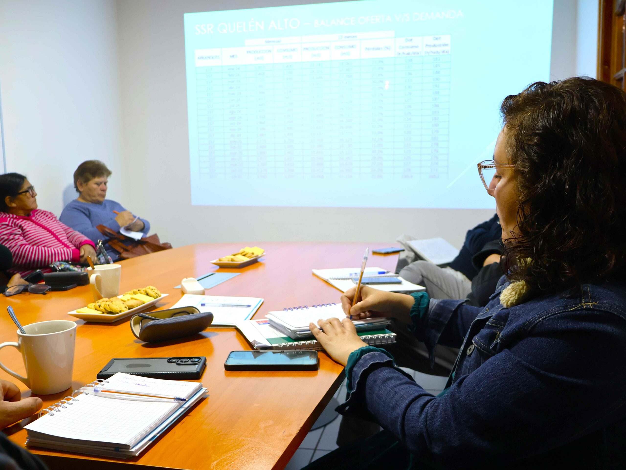 3 Presentación modelo hidráulico pérdidas 4 comités