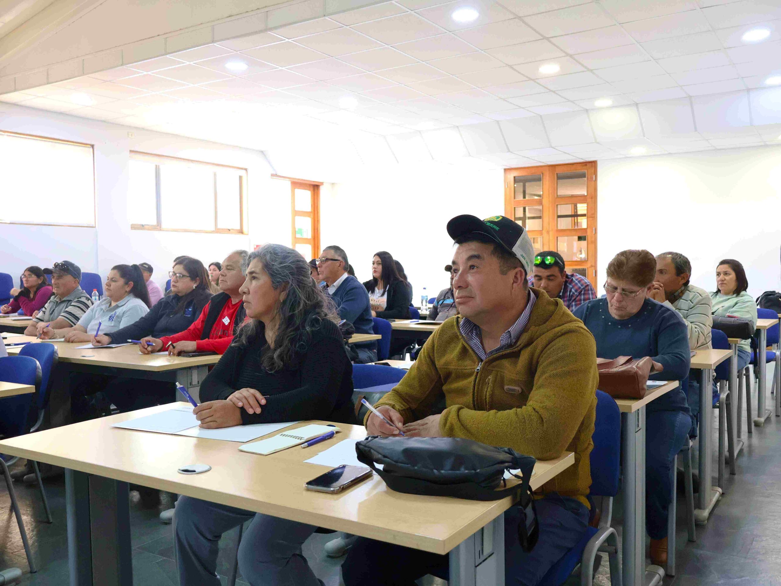 2 Taller Prommra