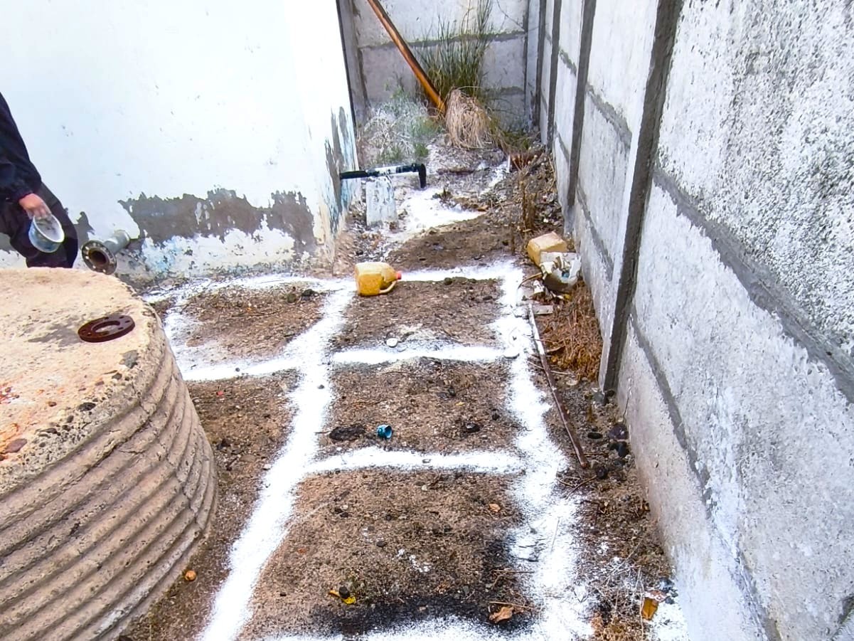 3.- Panguesillo - malla a tierra (1)