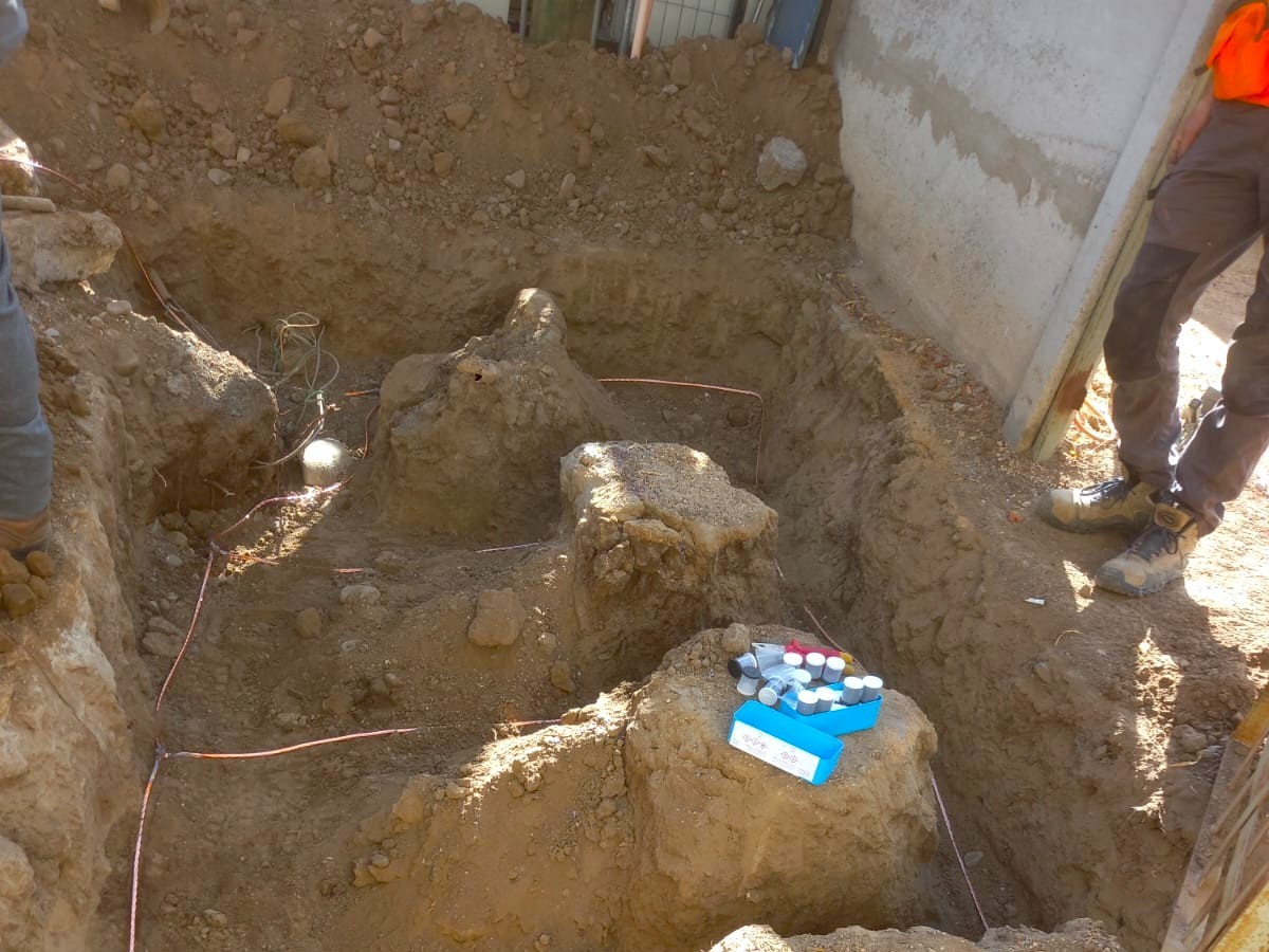 4. Coirón - malla a tierra