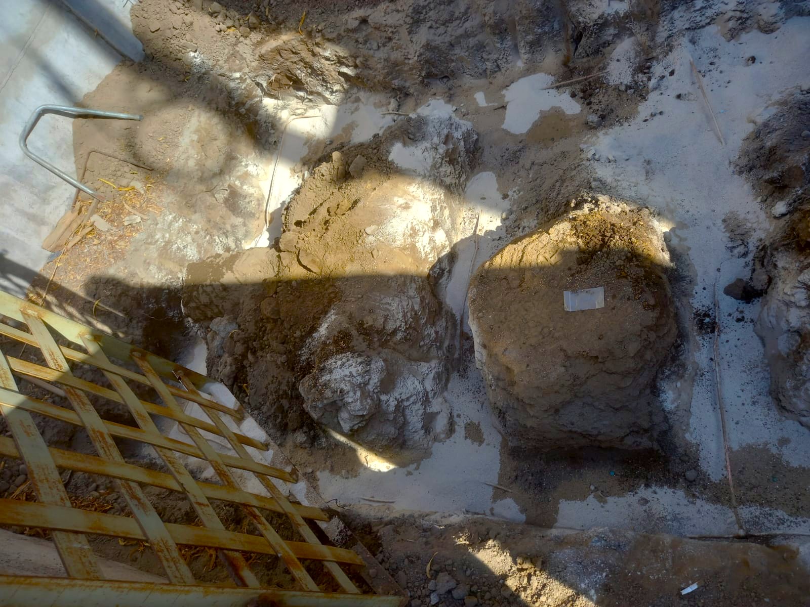 4. Coirón - malla a tierra2 (1)