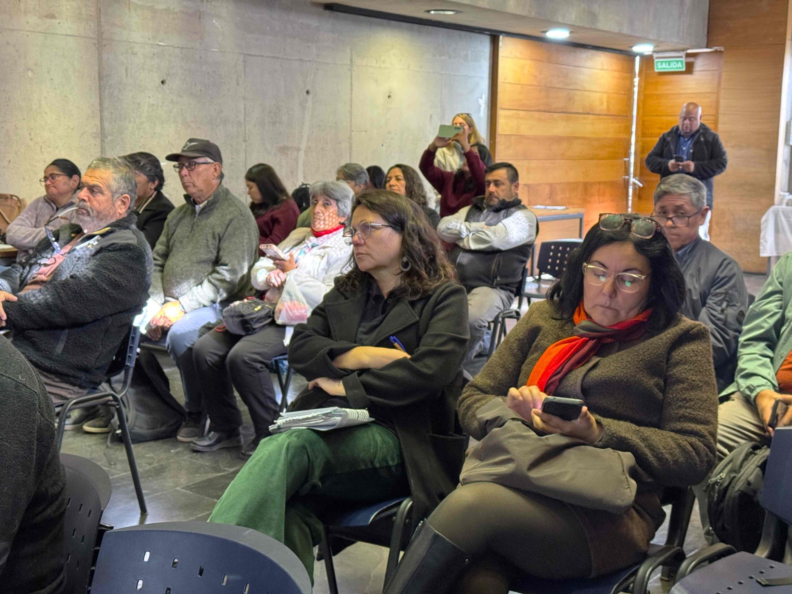 12 Capacitación SISS