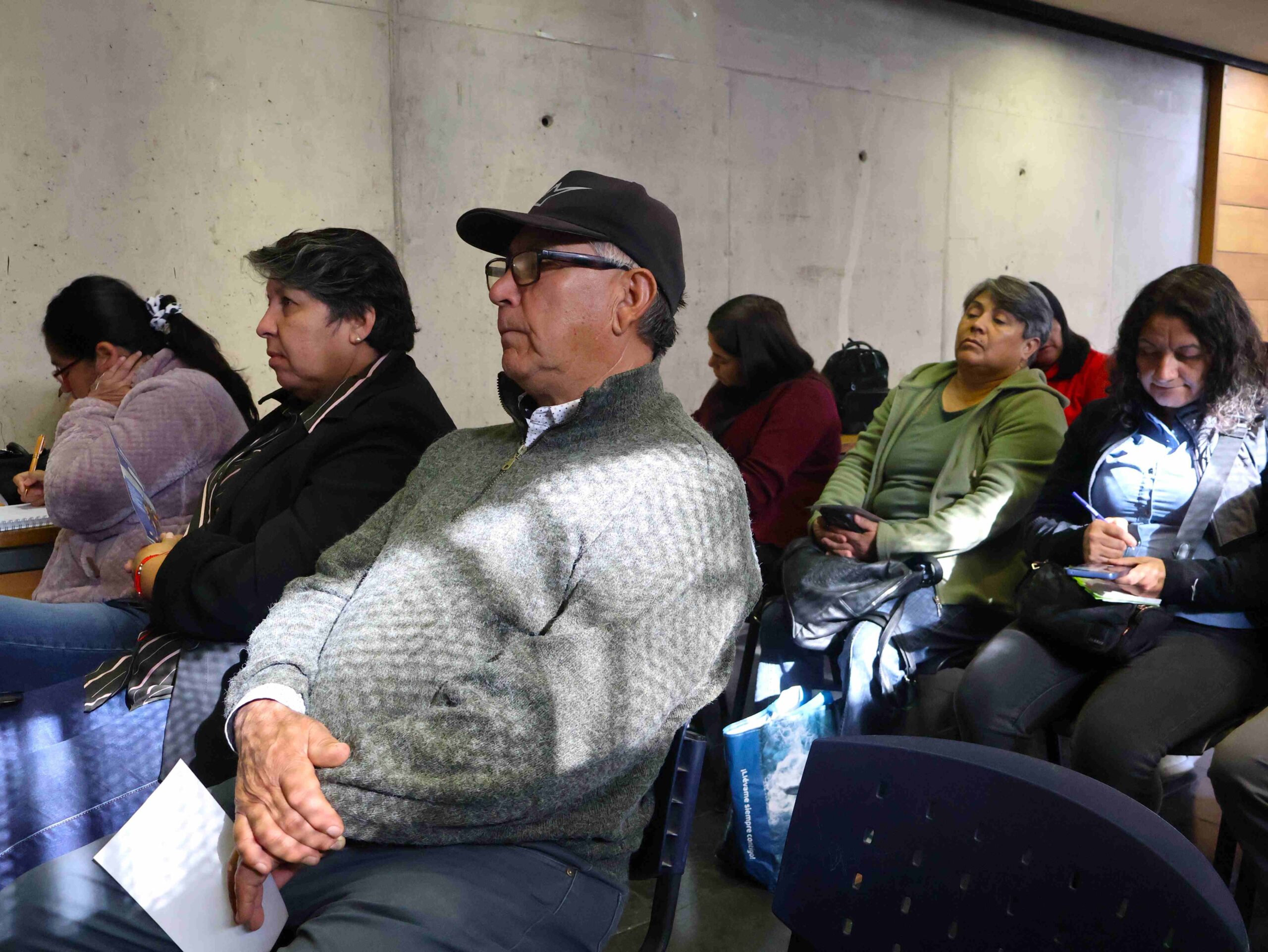 7 Capacitación SISS